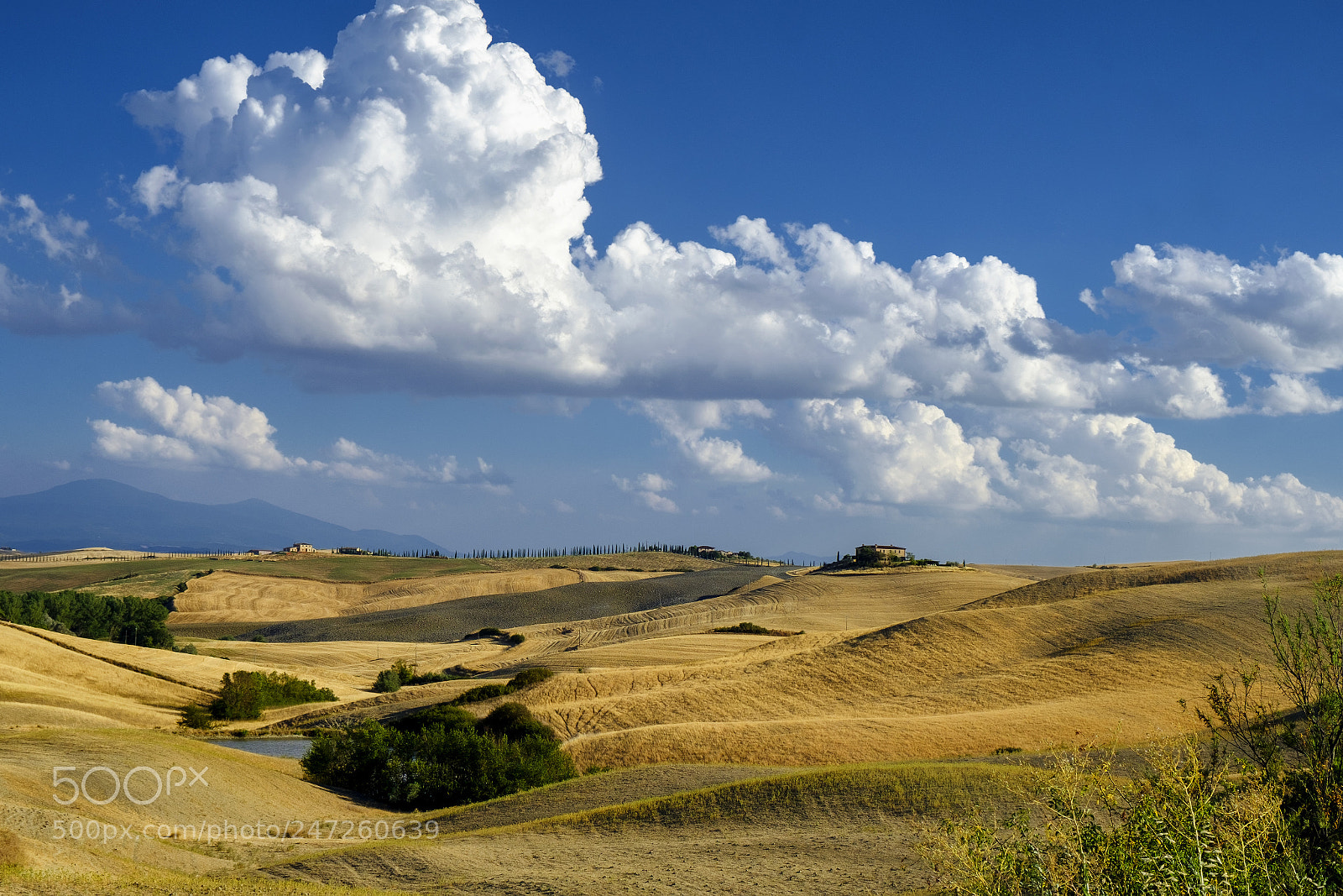 Fujifilm X-T2 sample photo. Summer landscape near asciano photography