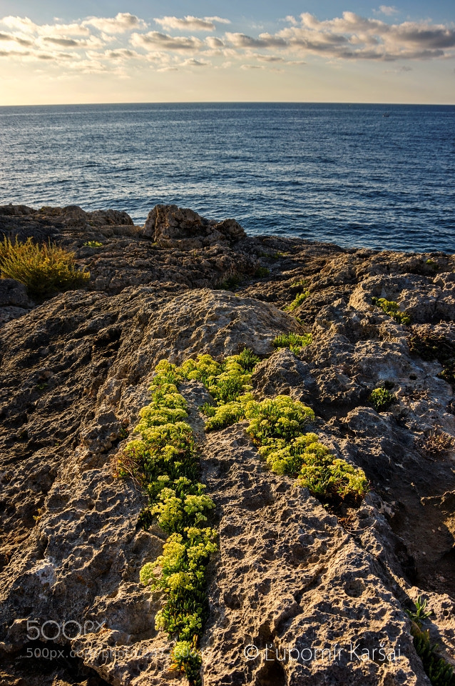 Pentax K-3 II sample photo. Calas de mallorca photography