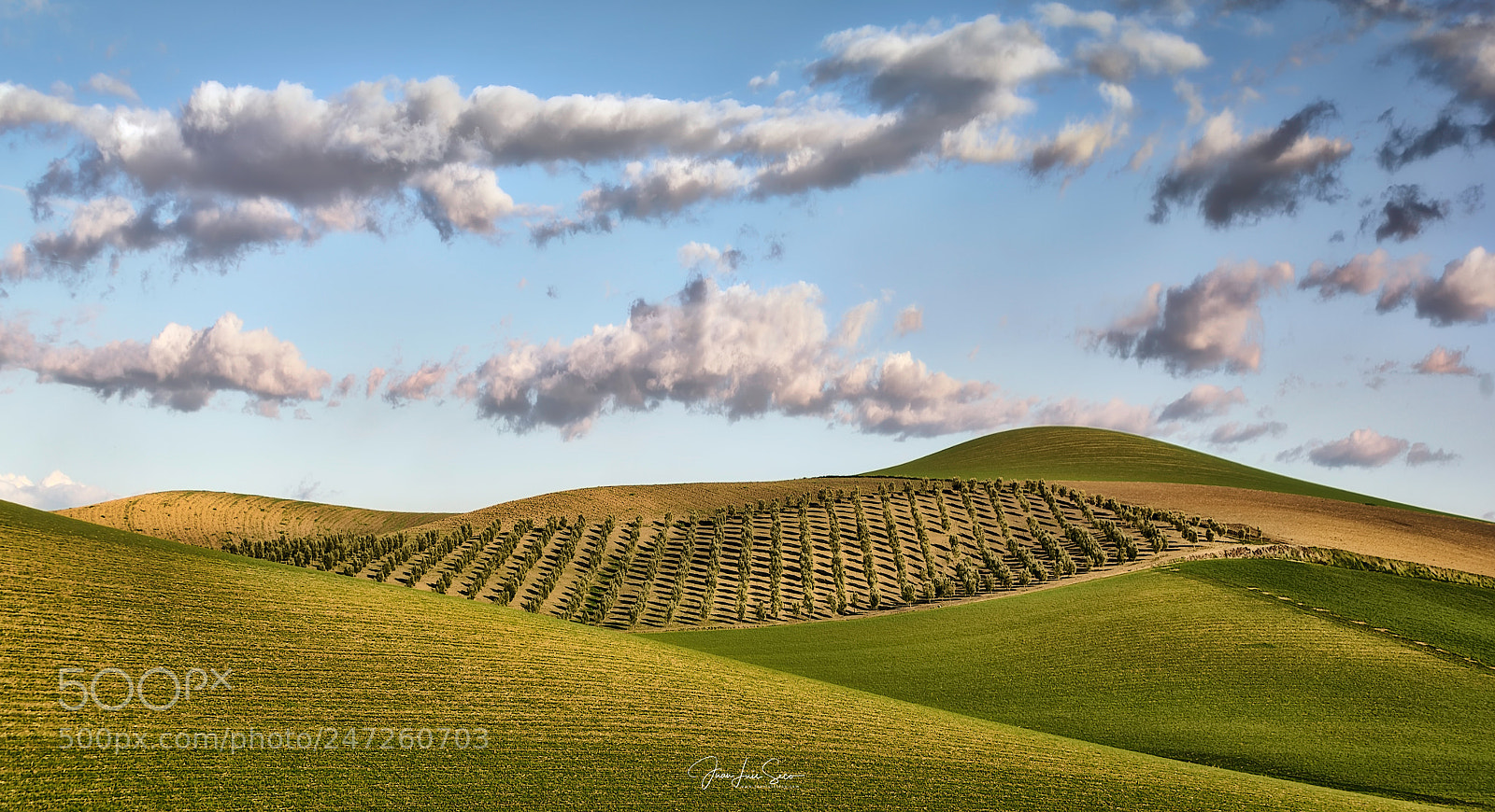 Nikon D810 sample photo. Murmullos de la campin photography