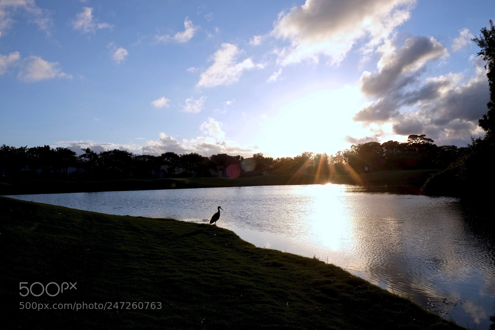 Fujifilm X-T20 sample photo. Birdwatching photography