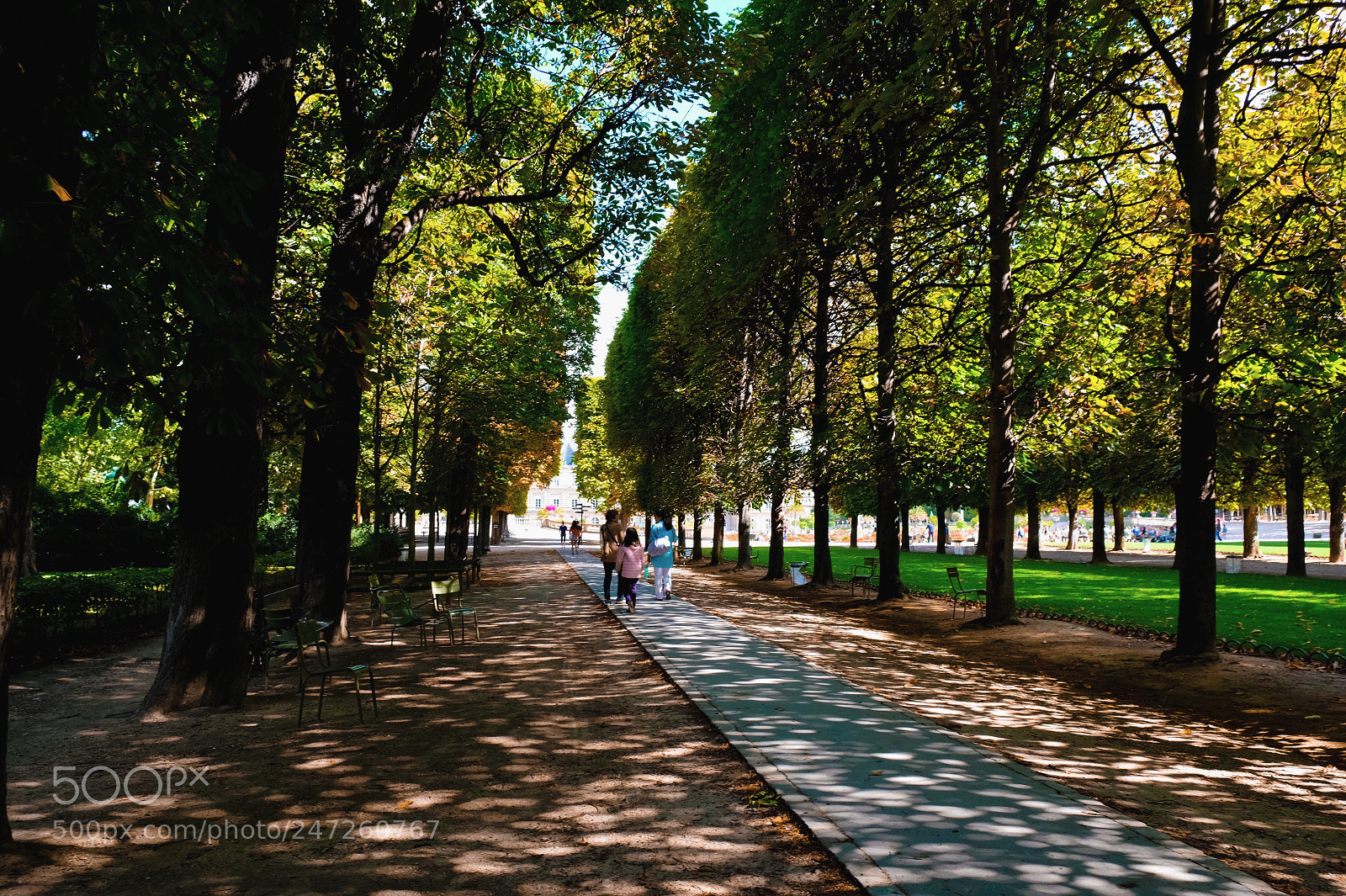 Fujifilm X-T20 sample photo. Nature walk photography