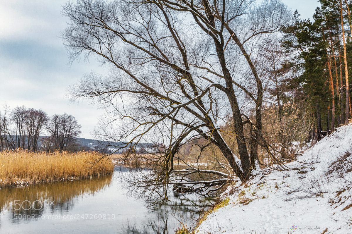 Canon EOS 60D sample photo. Winter calmness photography
