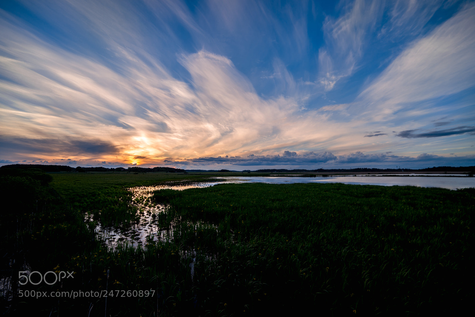Nikon D800E sample photo. Sunset at a bird photography