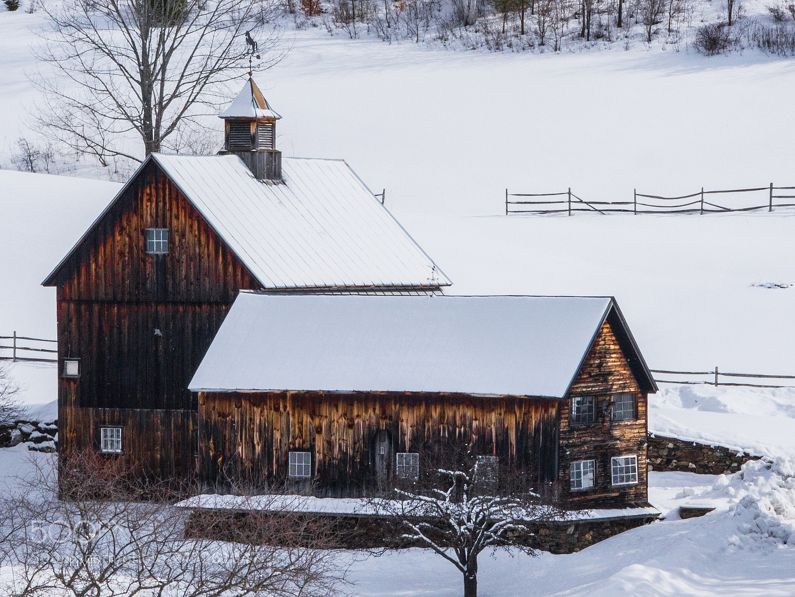 Nikon D600 sample photo. Pomfret in winter photography