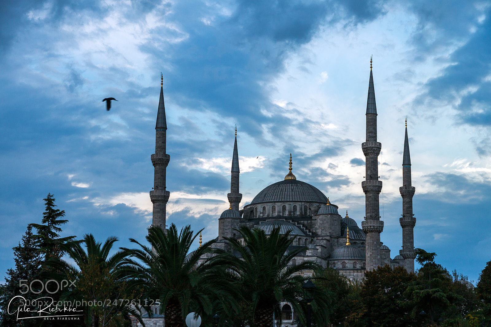 Canon EOS 500D (EOS Rebel T1i / EOS Kiss X3) sample photo. Blue mosque, istanbul photography