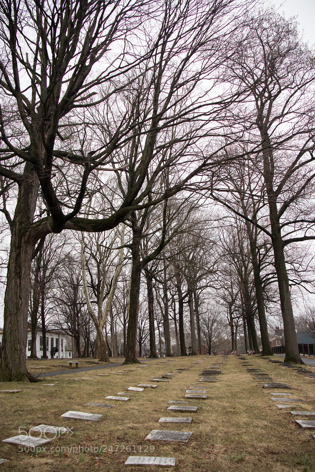 Canon EOS M6 sample photo. Bethlehem photography