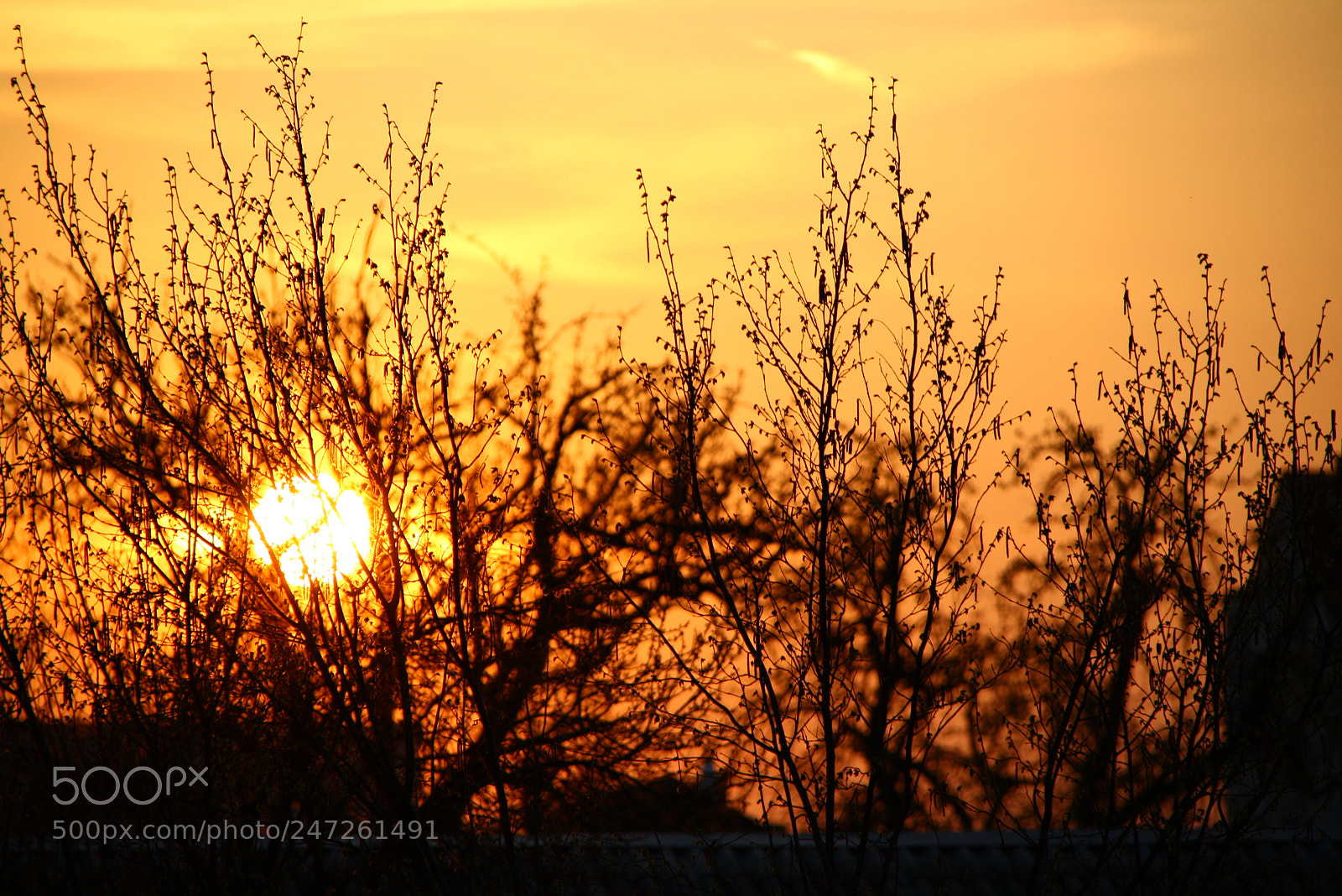 Canon EOS 1000D (EOS Digital Rebel XS / EOS Kiss F) sample photo. Orange sunset photography