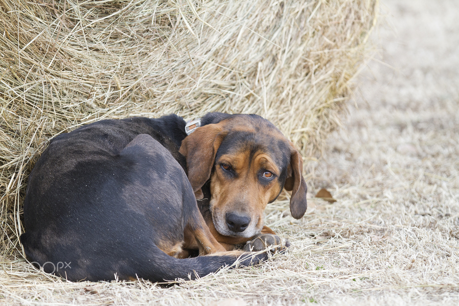 Canon EOS 7D sample photo. What now?! photography