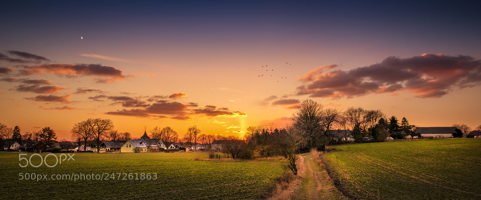 Nikon D810 sample photo. In der stille angekommen photography