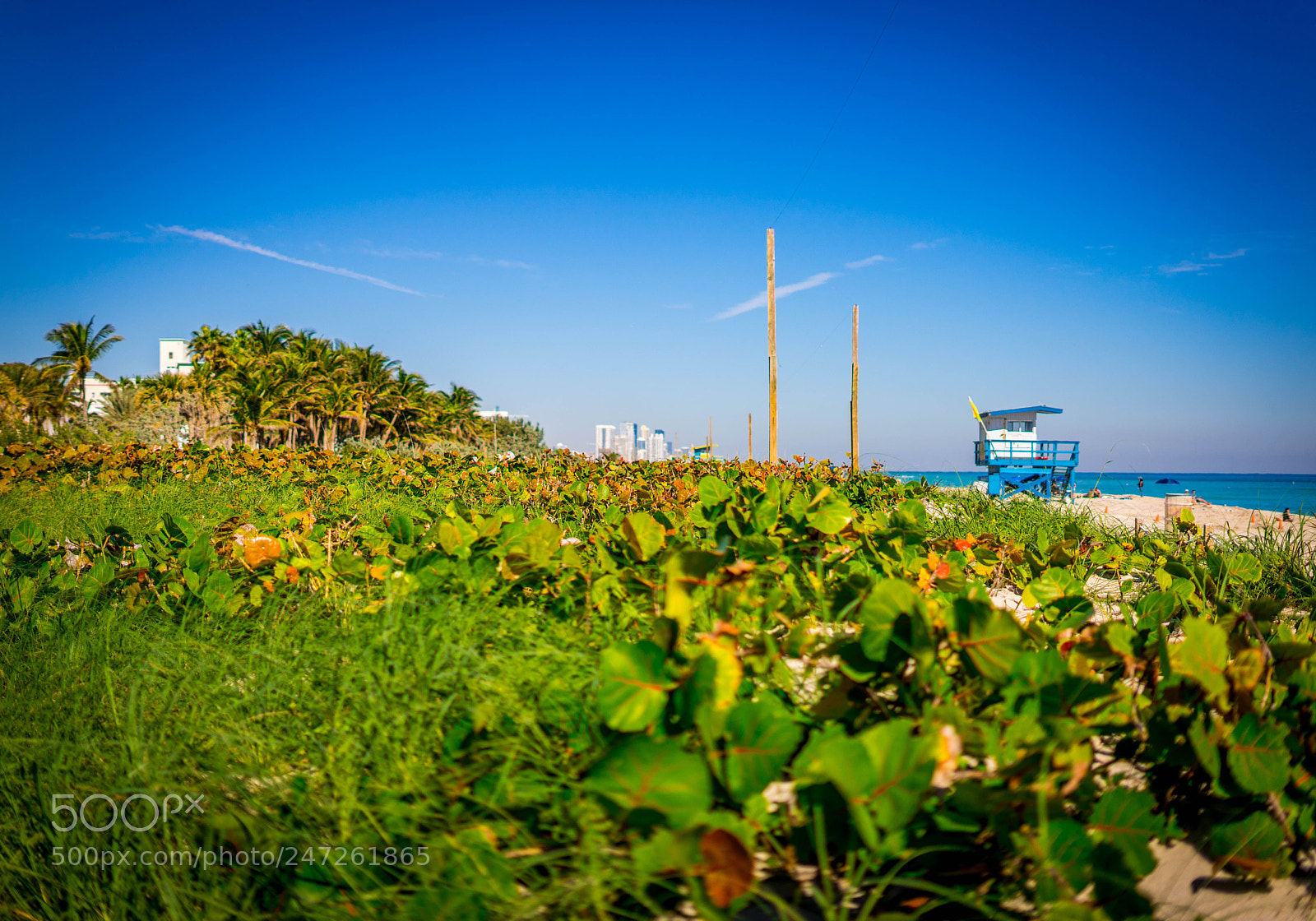 Sony a7 sample photo. Miami beach photography