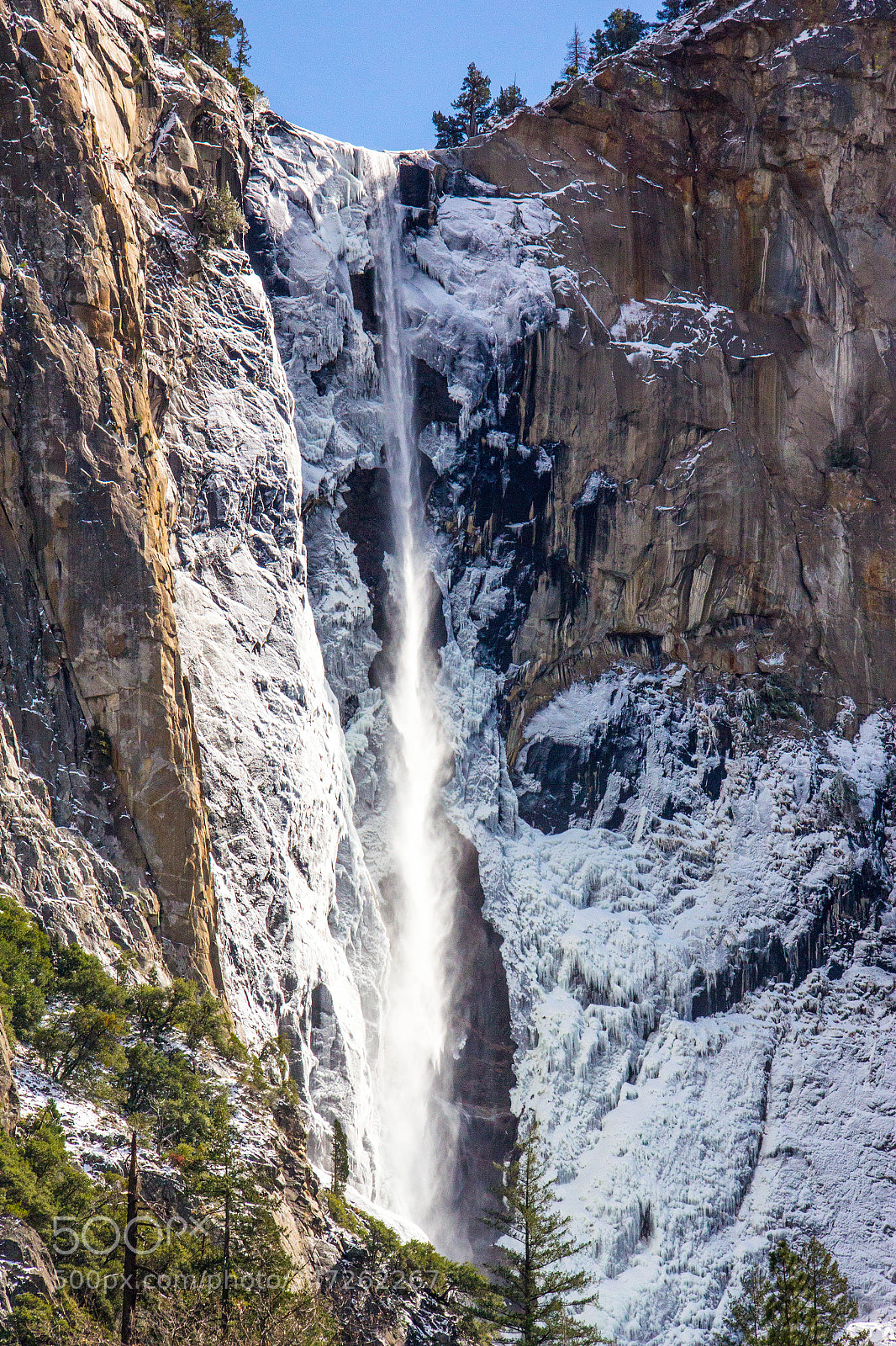 Canon EOS 60D sample photo. Frozen fall photography