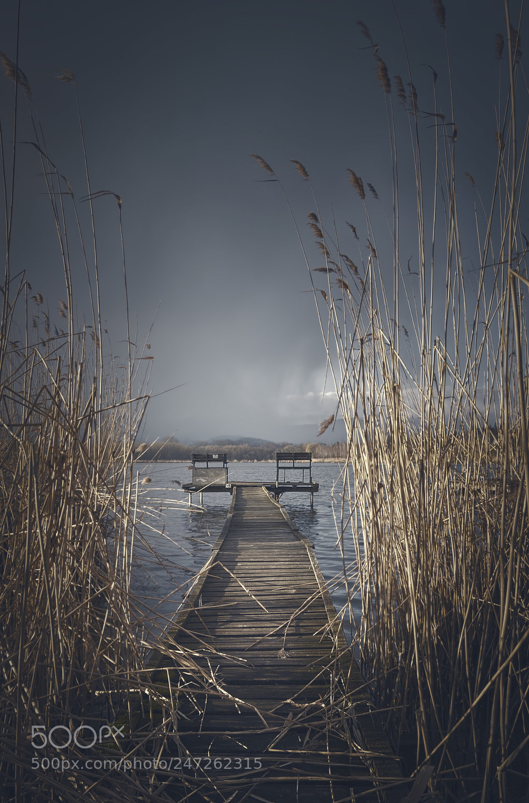 Nikon D5200 sample photo. Lakeside photography