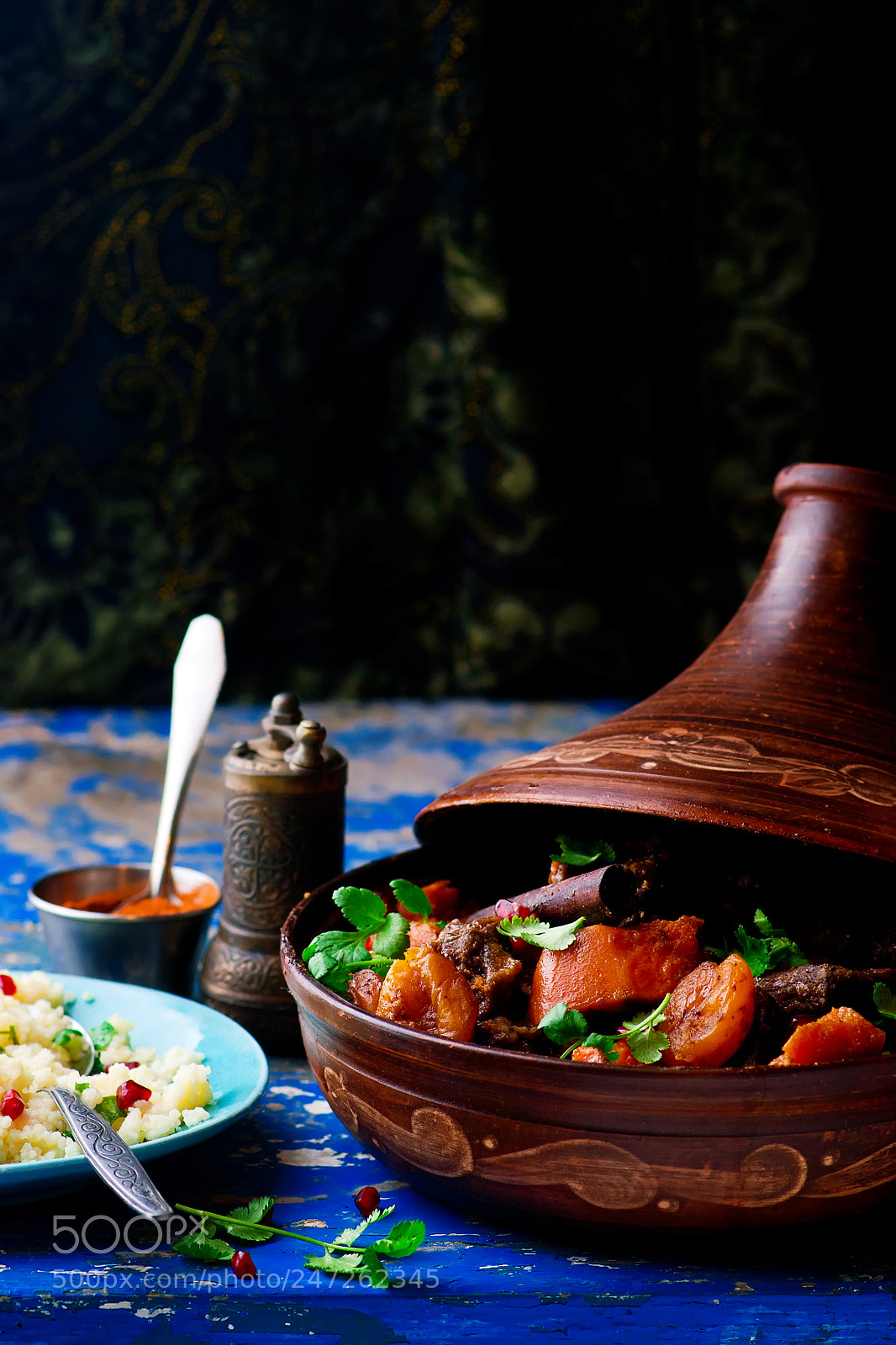 Nikon D3100 sample photo. Lamb squash and apricot photography