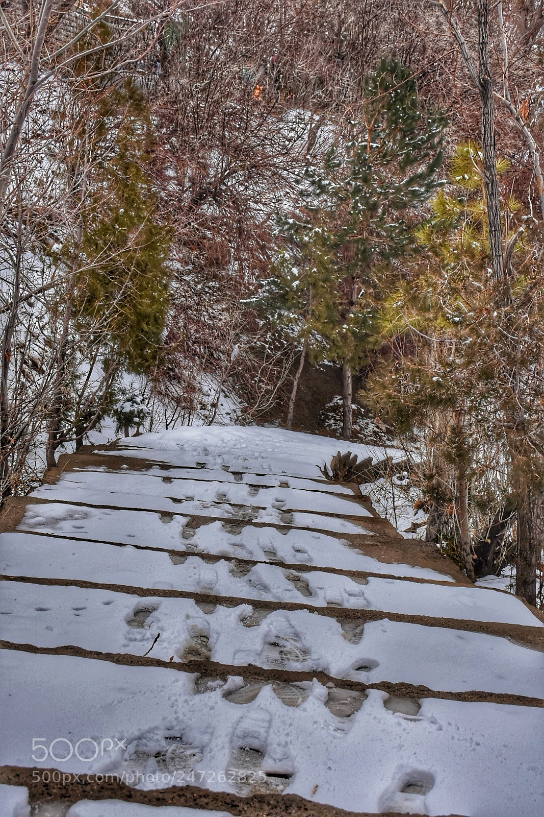 Nikon D7200 sample photo. Untitled photography