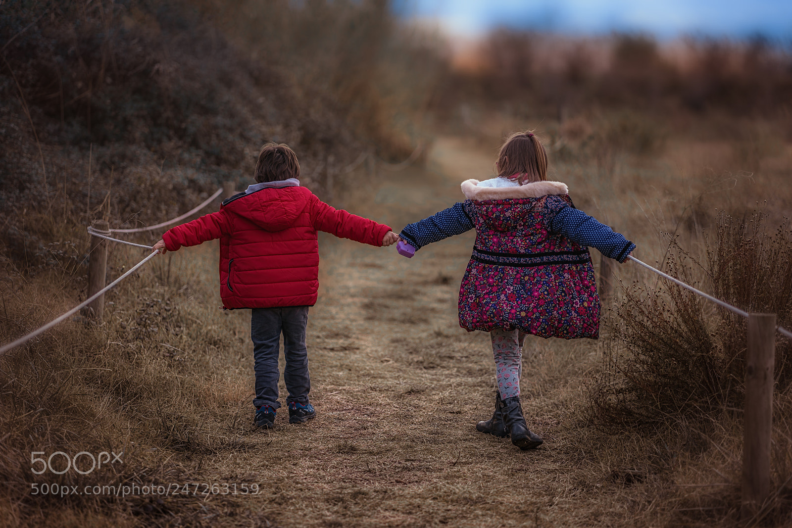 Sony a7R II sample photo. Great companion photography