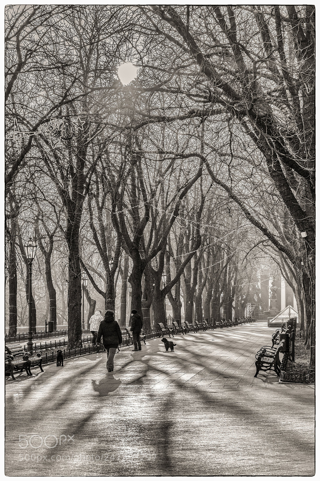 Nikon D500 sample photo. Odessa - primorskii bolevard photography