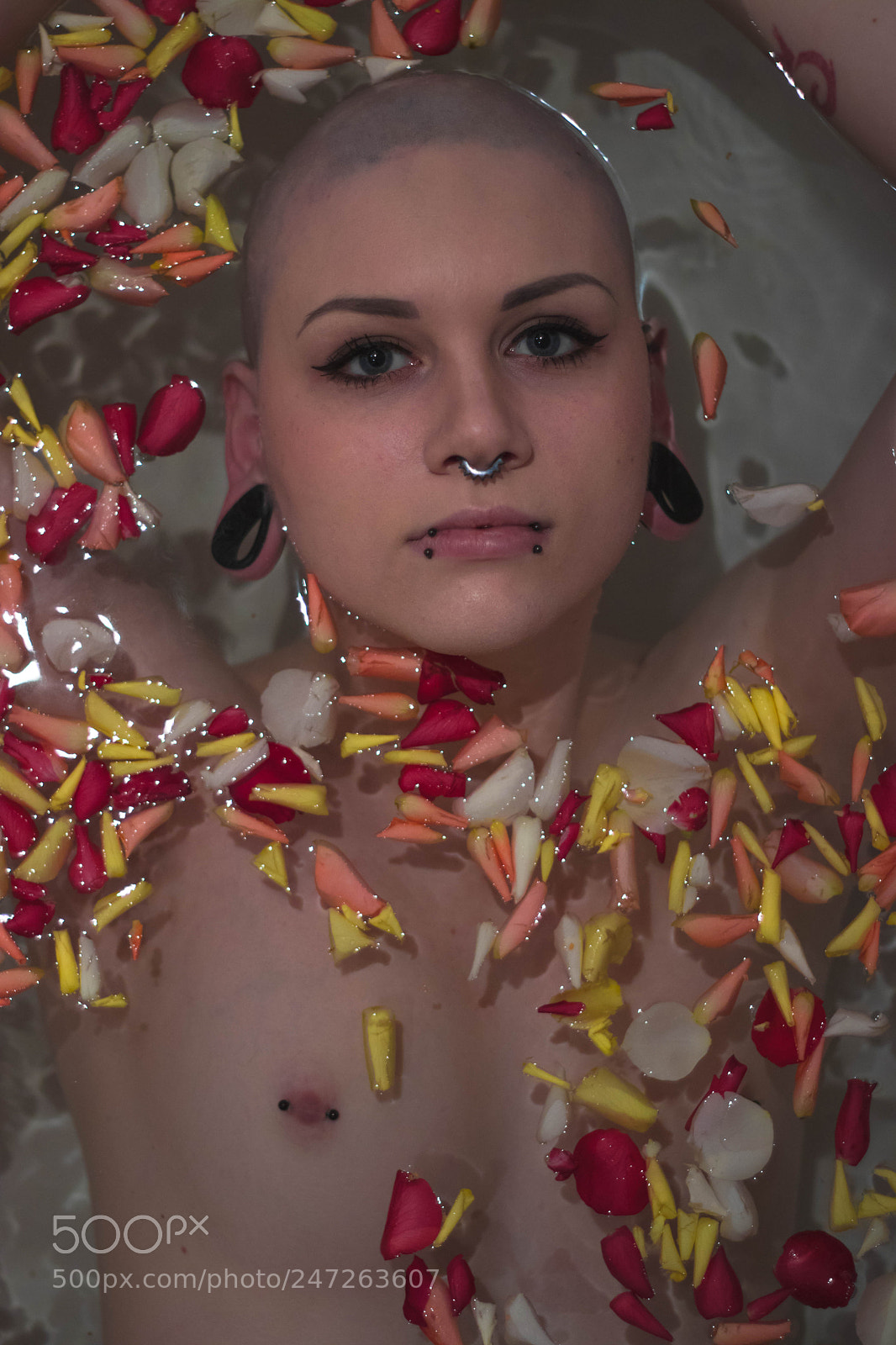 Canon EOS 80D sample photo. Flowerbath. photography