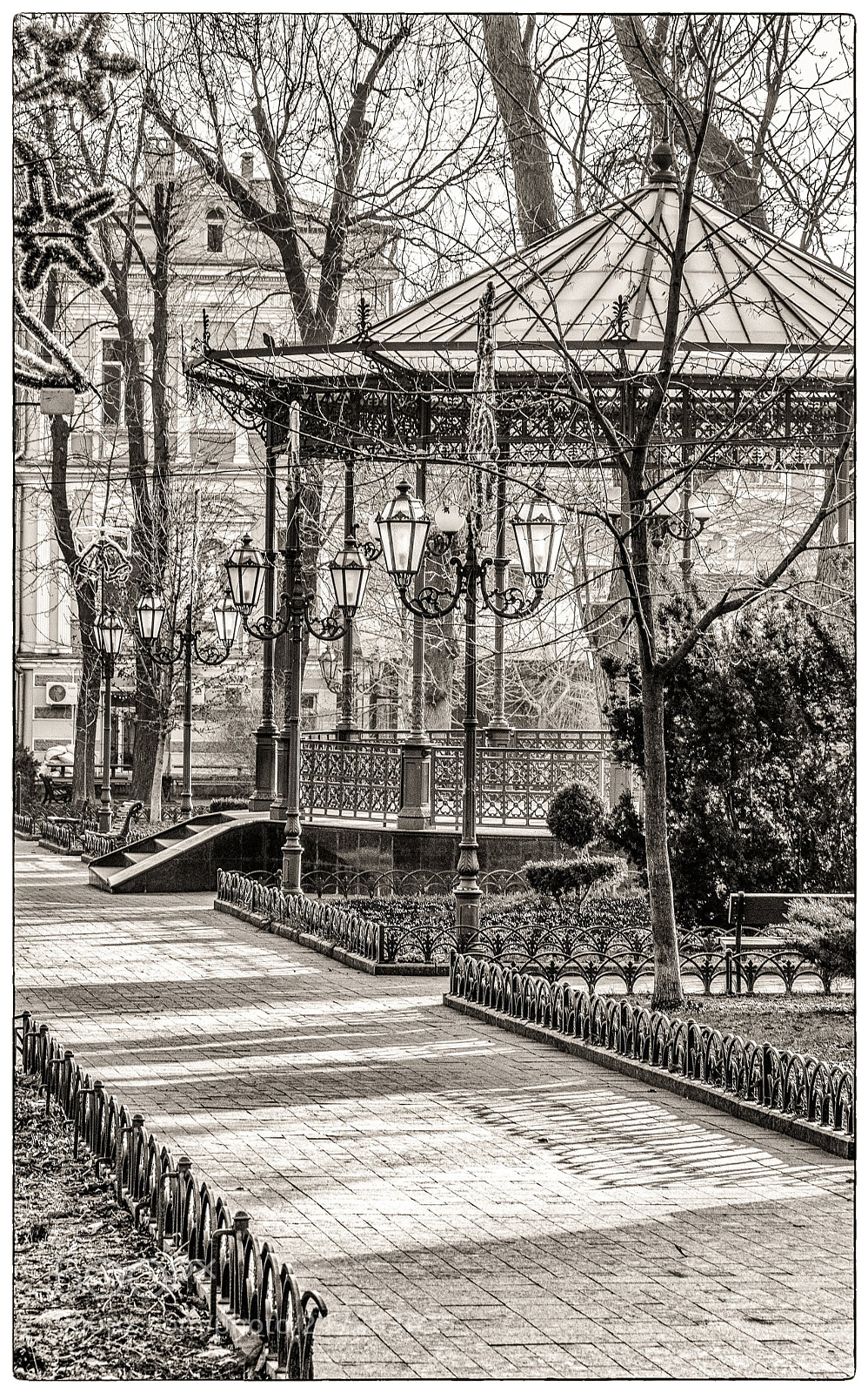 Nikon D500 sample photo. Odessa - city garden photography