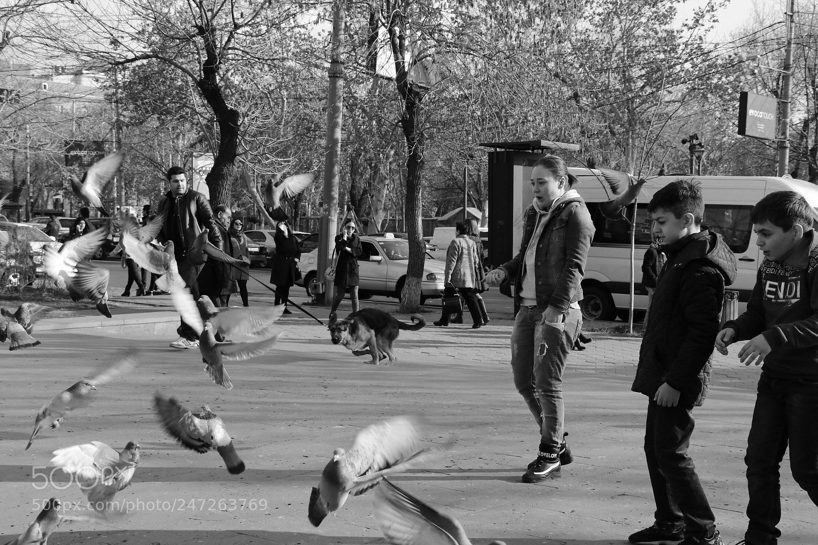 Canon EOS 80D sample photo. Untitled photography