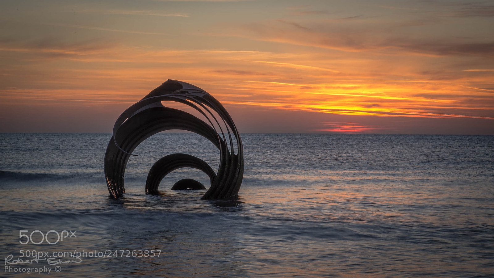 Nikon D610 sample photo. Mary s shell sculpture photography