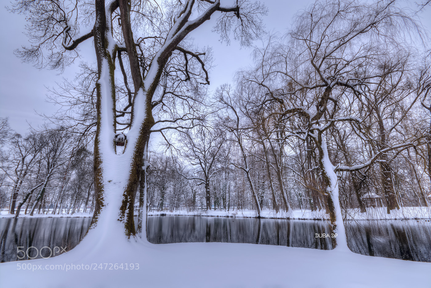 Nikon D7200 sample photo. Wintertime photography