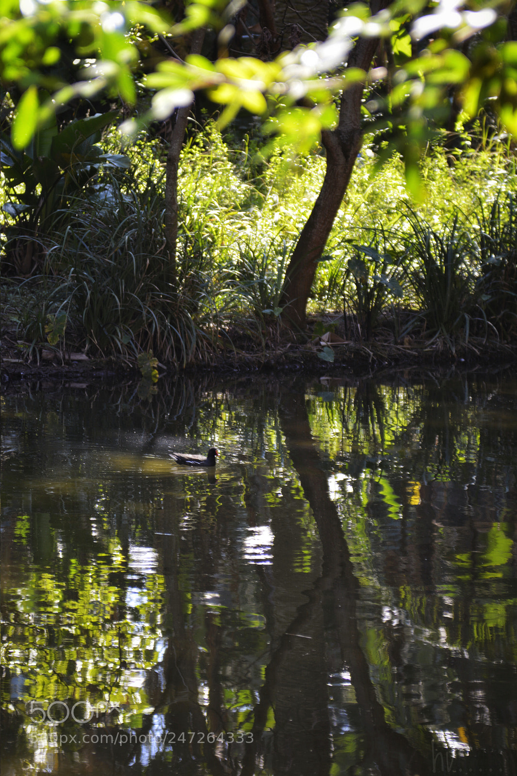 Nikon D7100 sample photo. One fine day photography