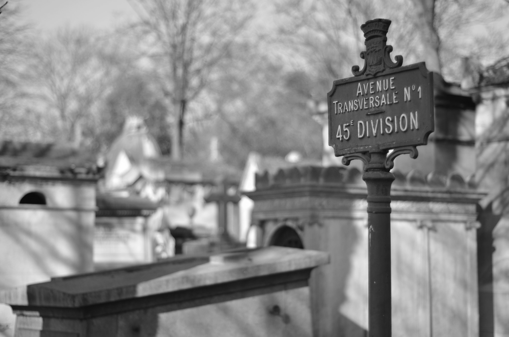 Nikon D7000 + Manual Lens No CPU sample photo. Père-lachaise cemetery photography