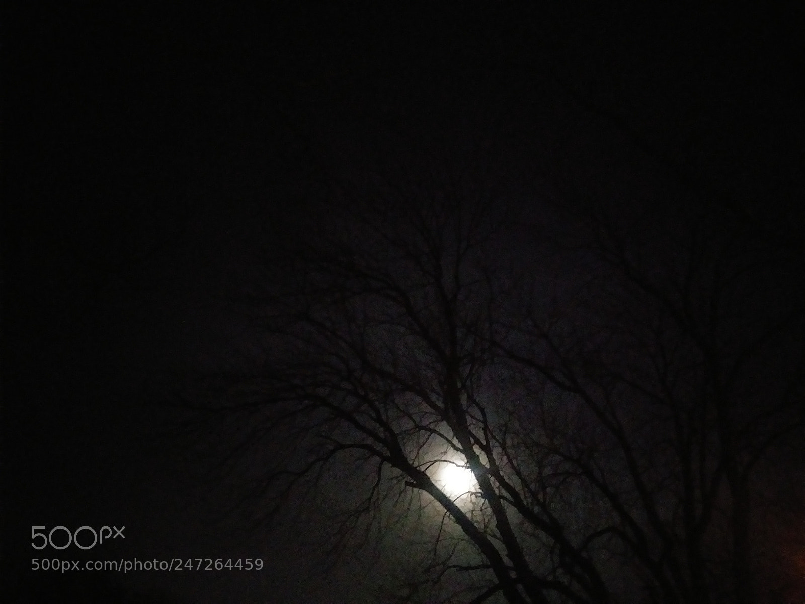 LG ARISTO sample photo. Untitled photography