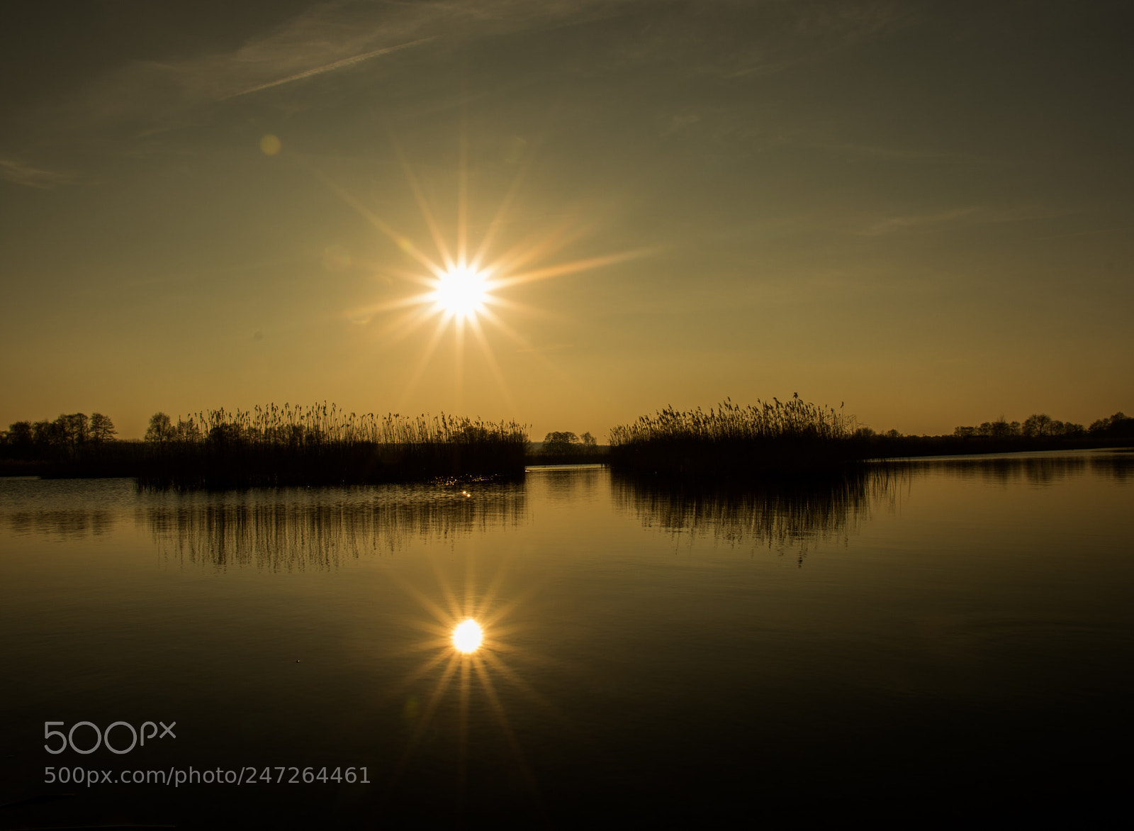 Canon EOS 7D Mark II sample photo. Untitled photography