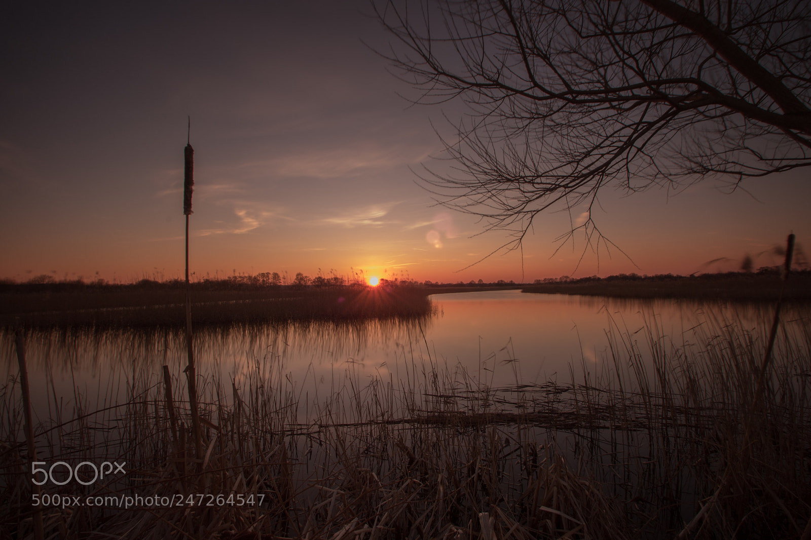 Canon EOS 7D Mark II sample photo. Untitled photography