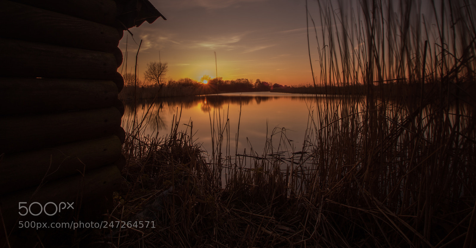 Canon EOS 7D Mark II sample photo. Untitled photography