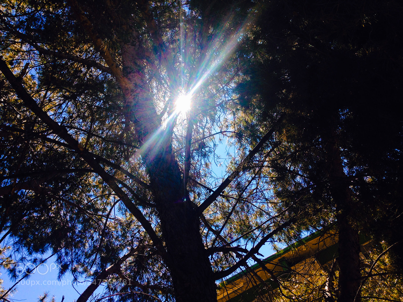 Apple iPhone 5 sample photo. Untitled photography