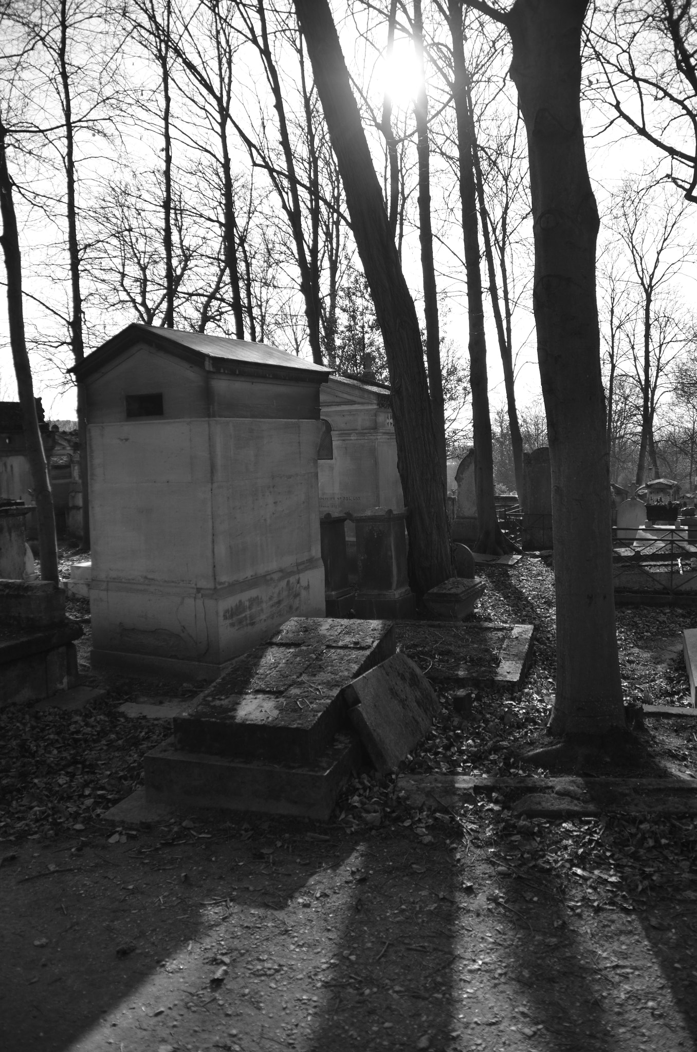 Nikon D7000 sample photo. Père-lachaise cemetery photography