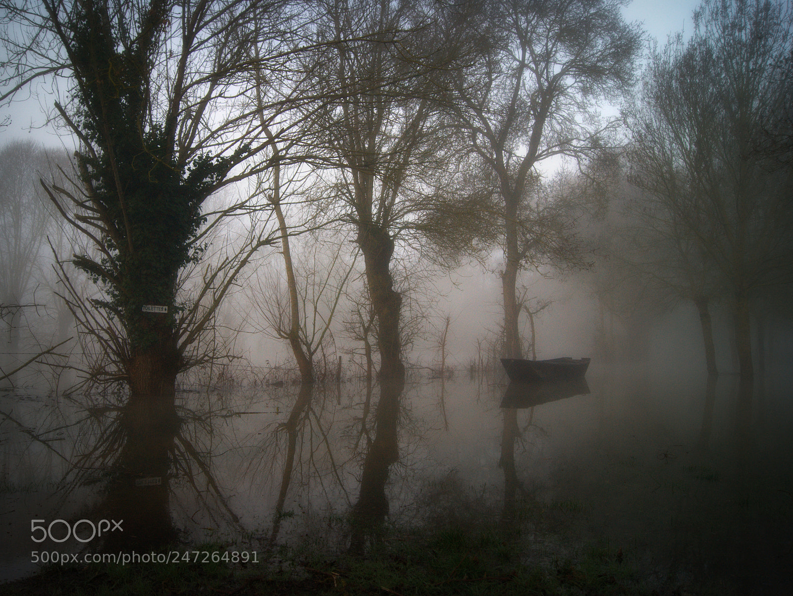 Sony Alpha DSLR-A290 sample photo. Loire en crue photography
