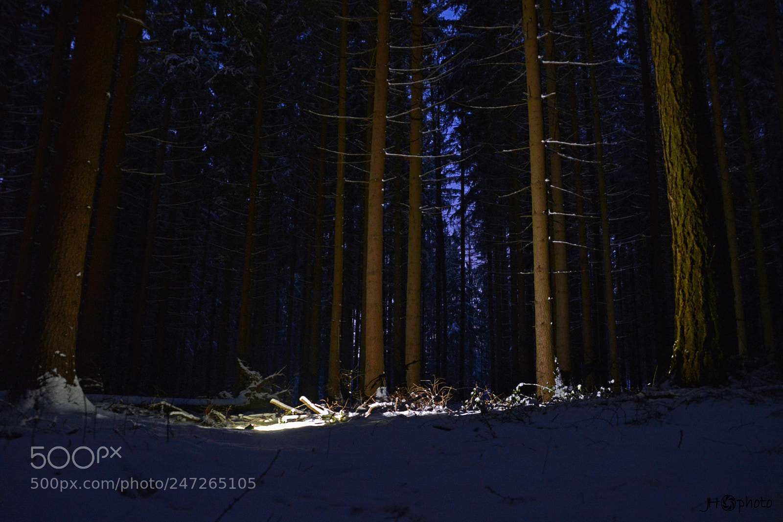 Nikon D5200 sample photo. Light - my savior photography