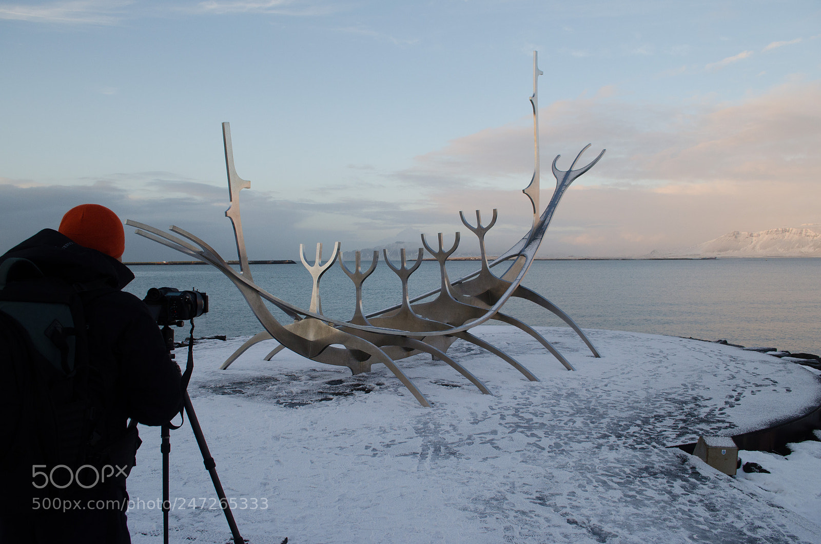 Nikon D5100 sample photo. Vikings photography