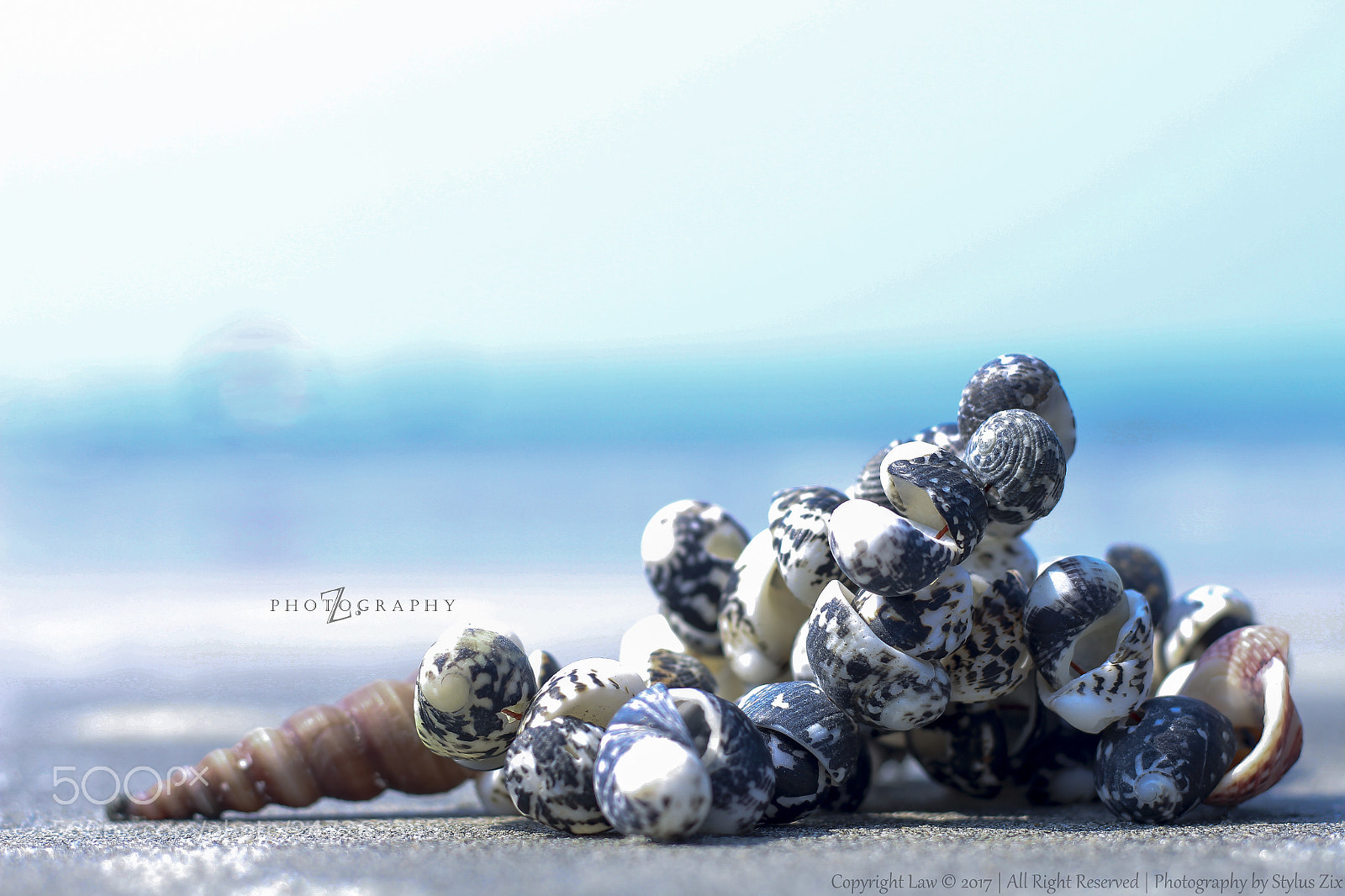 Canon EOS 700D (EOS Rebel T5i / EOS Kiss X7i) sample photo. Sea shell...... photography