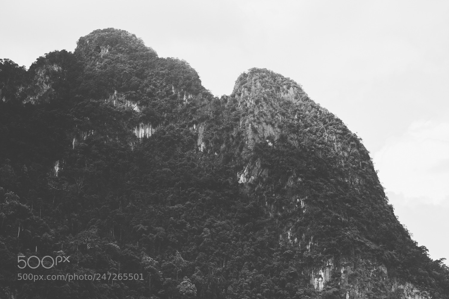 Canon EOS 7D sample photo. Oldest rainforest photography
