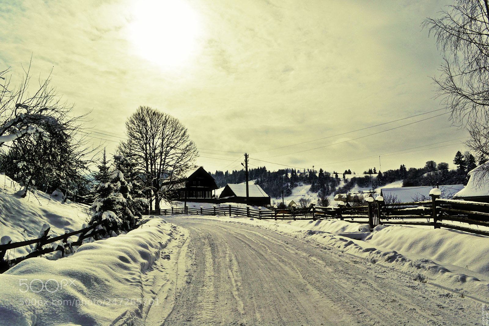 Nikon D3100 sample photo. Volosyanka photography