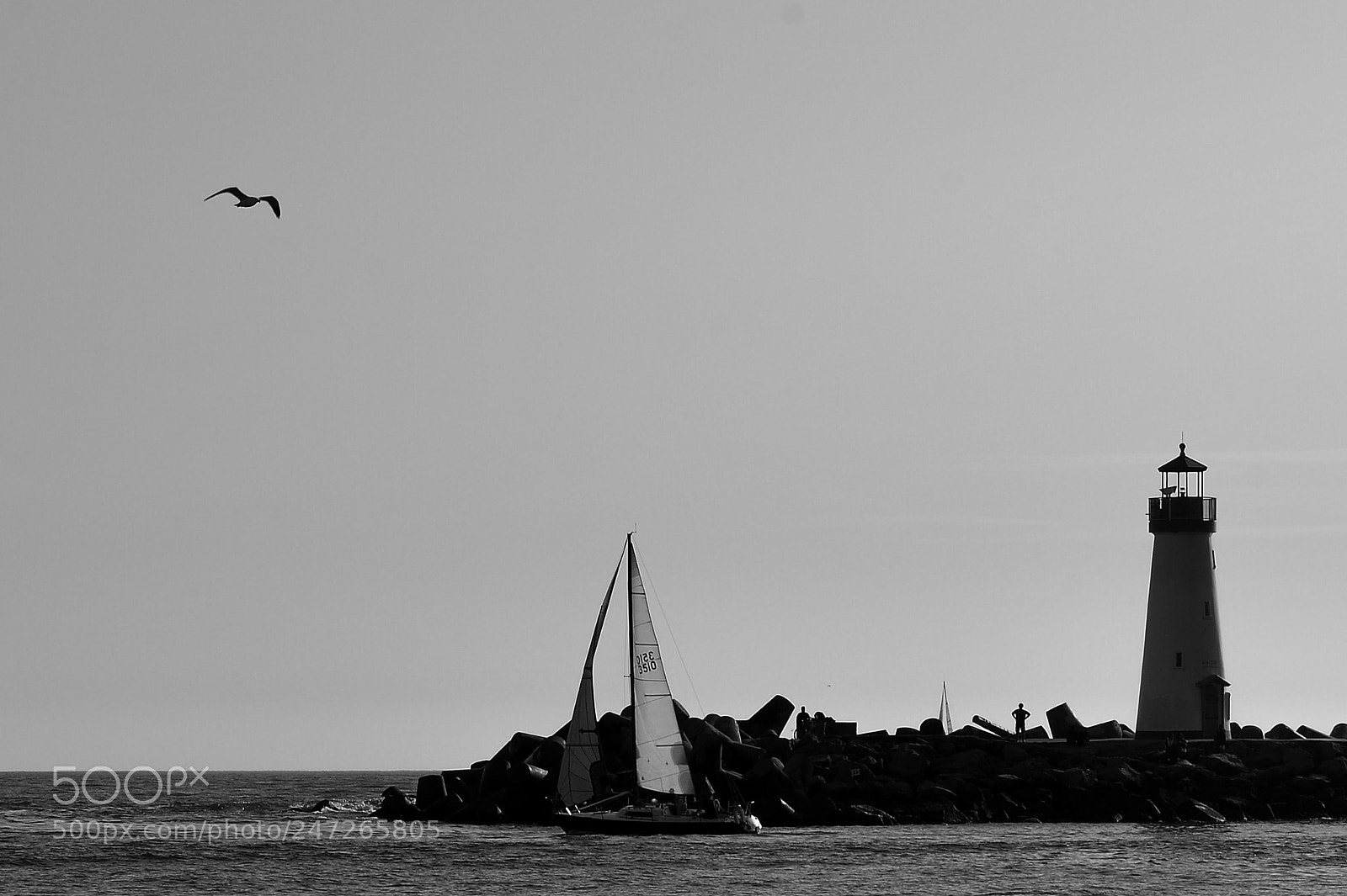 Nikon D600 sample photo. Untitled photography