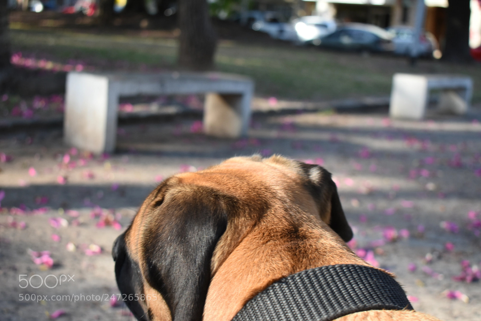 Nikon D3400 sample photo. Dsc photography