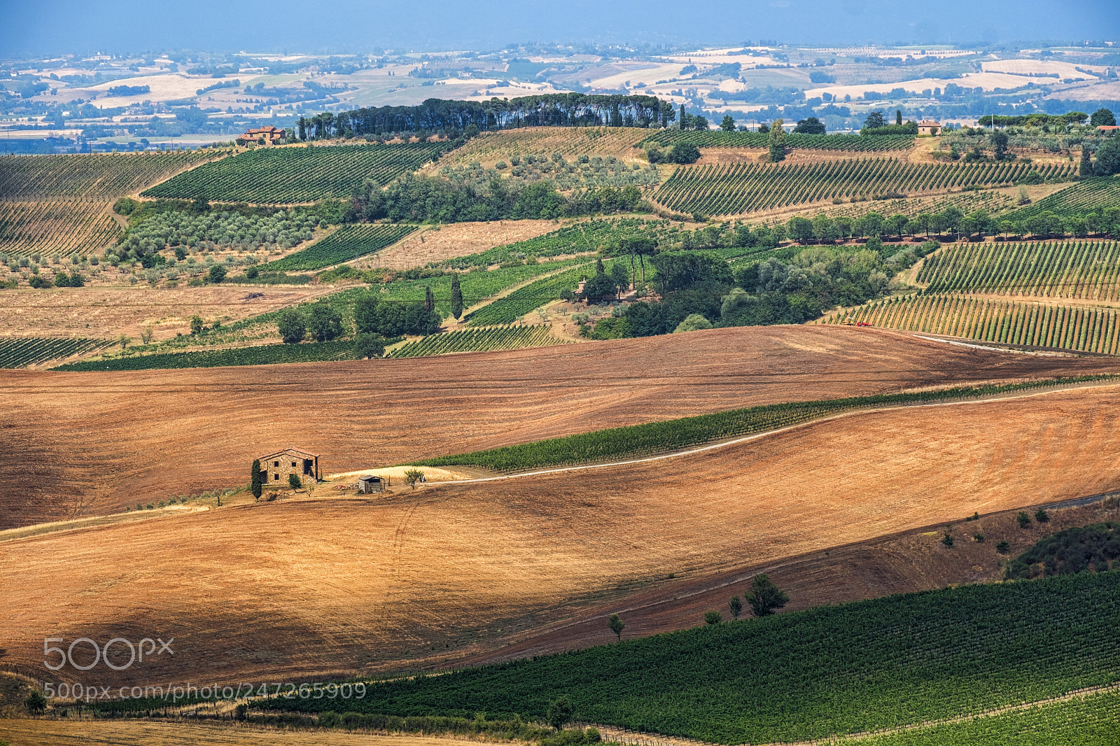 Fujifilm X-T20 sample photo. Summer landscape near montepulciano photography