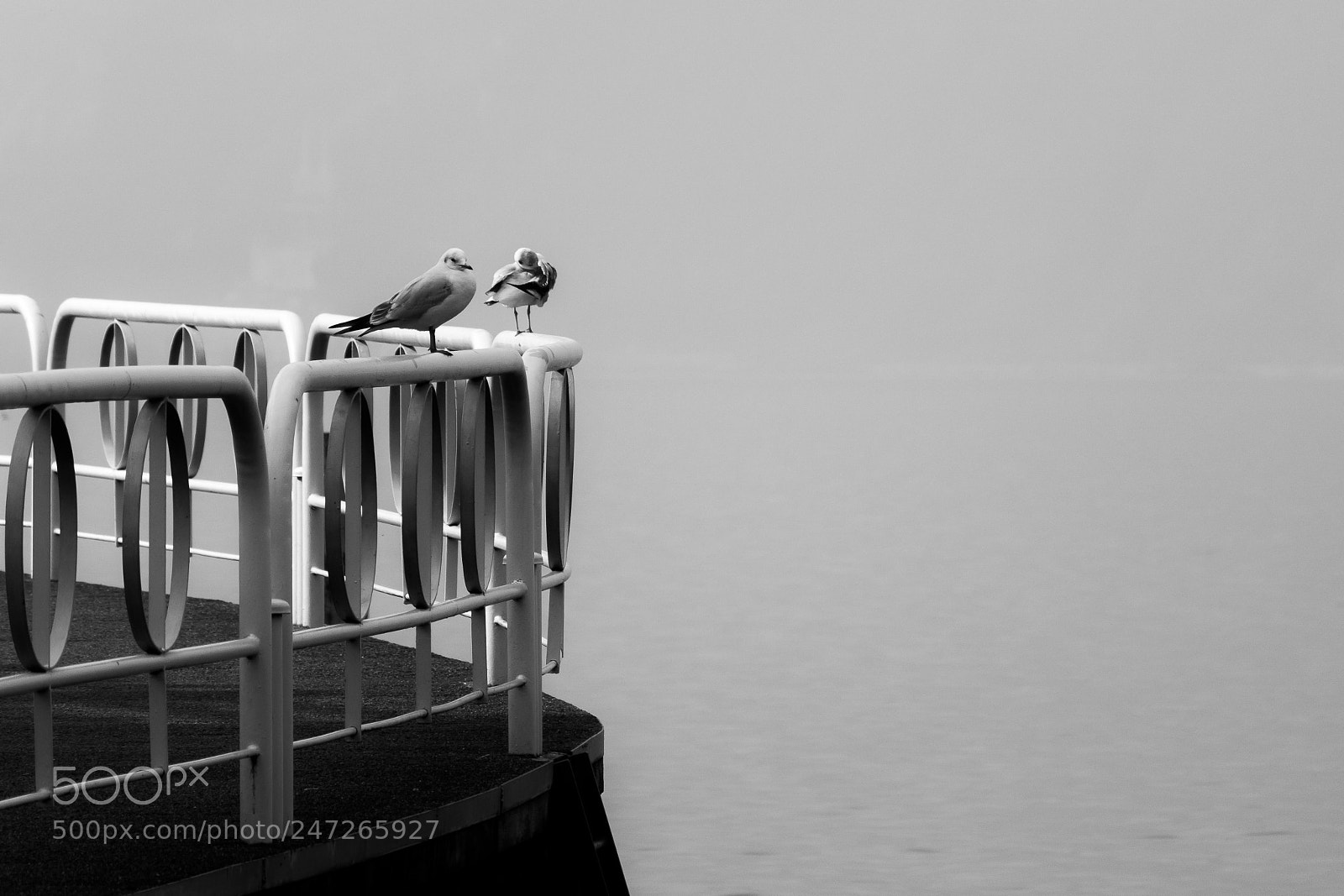 Nikon 1 J5 sample photo. Iseo lake_01 photography