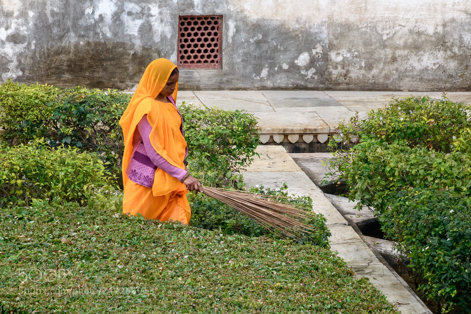 Nikon D850 sample photo. Orange and green photography