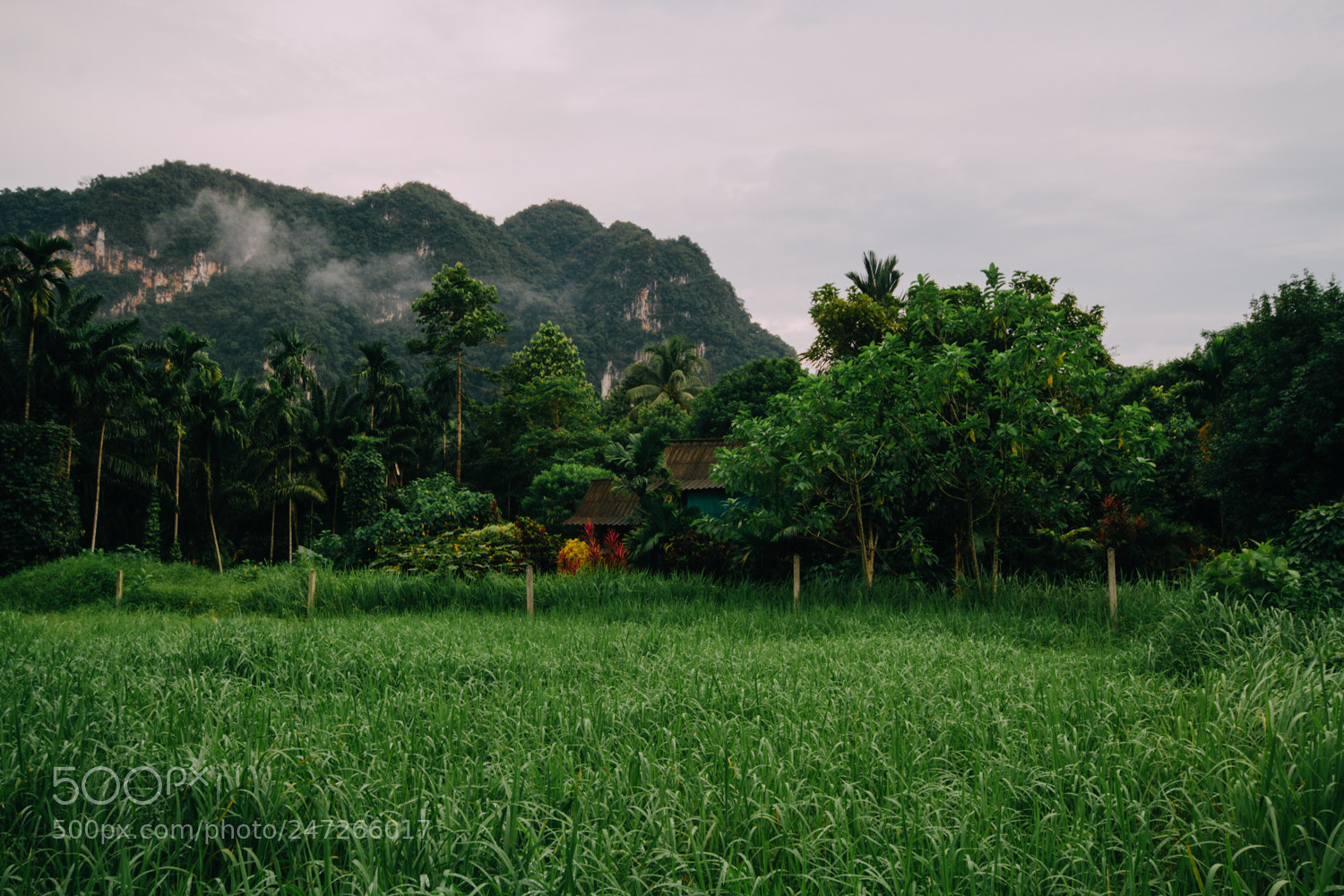 Canon EOS 7D sample photo. Phanom district photography