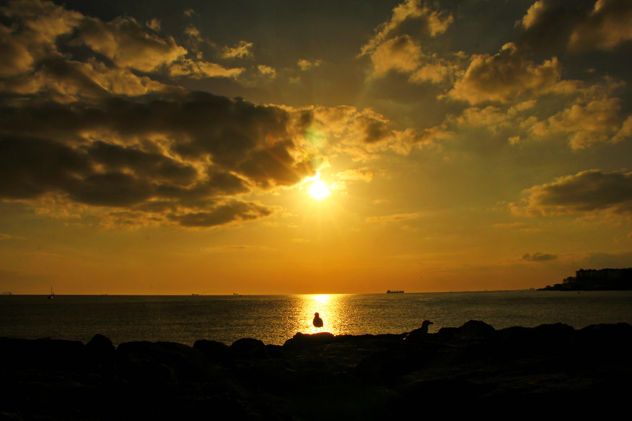 Canon EOS 60D sample photo