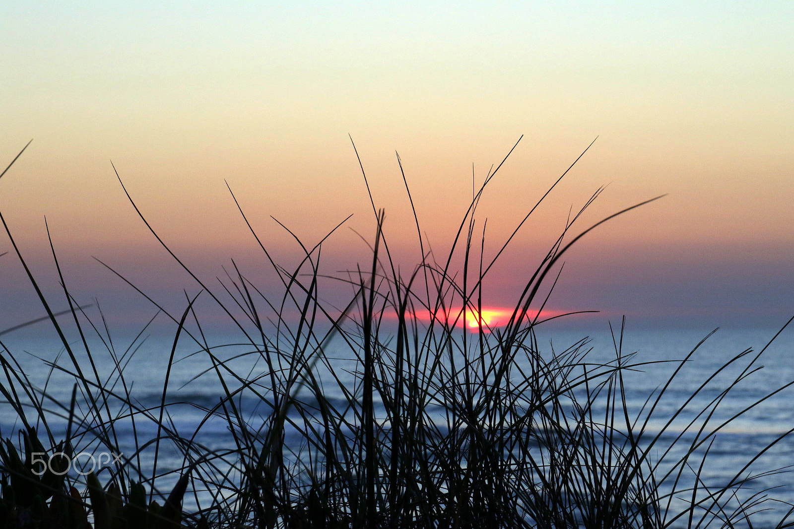 Canon EF 24-70mm F4L IS USM sample photo. Sunset photography