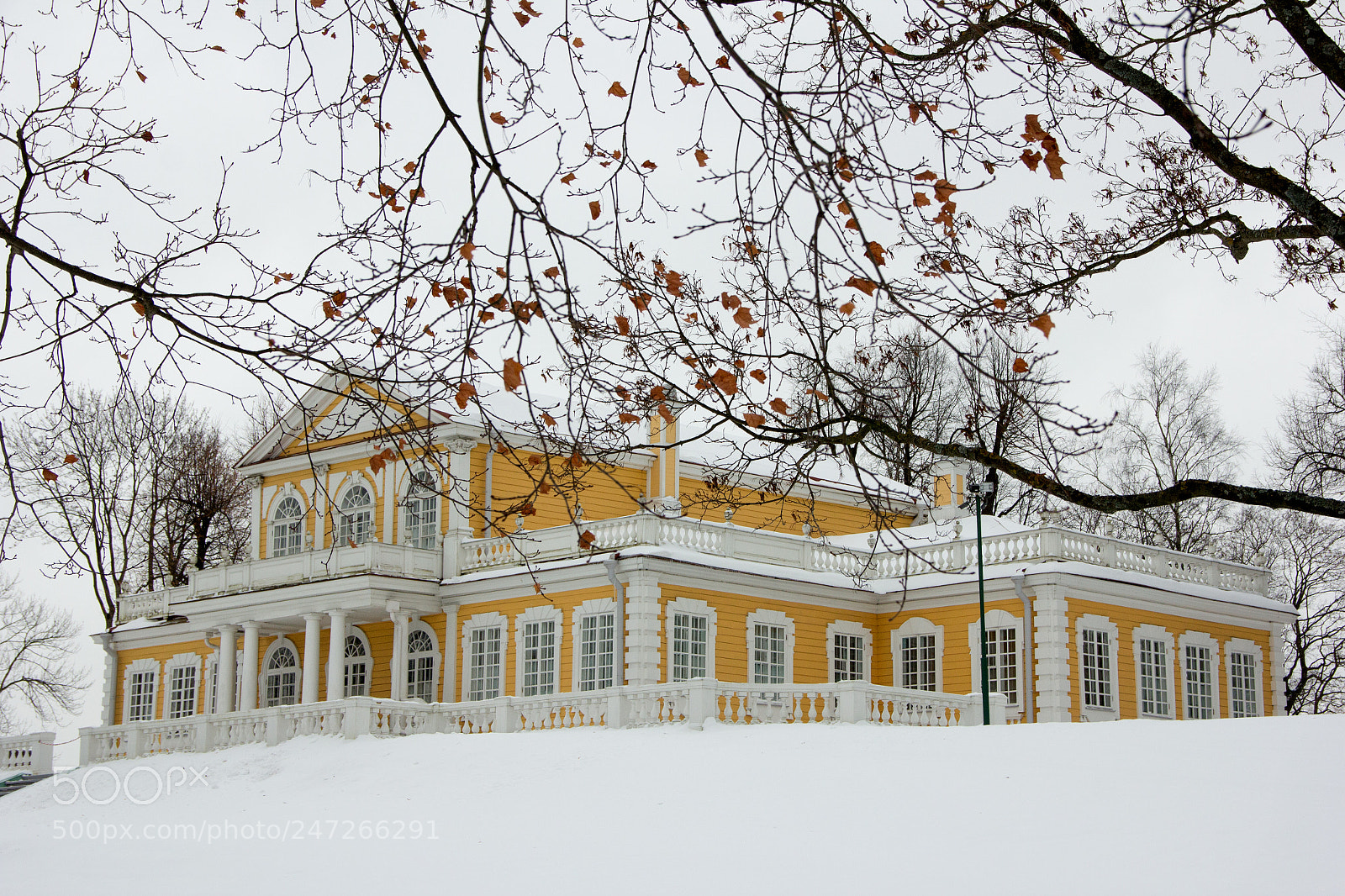 Canon EOS 60D sample photo. Winter in strel'na photography