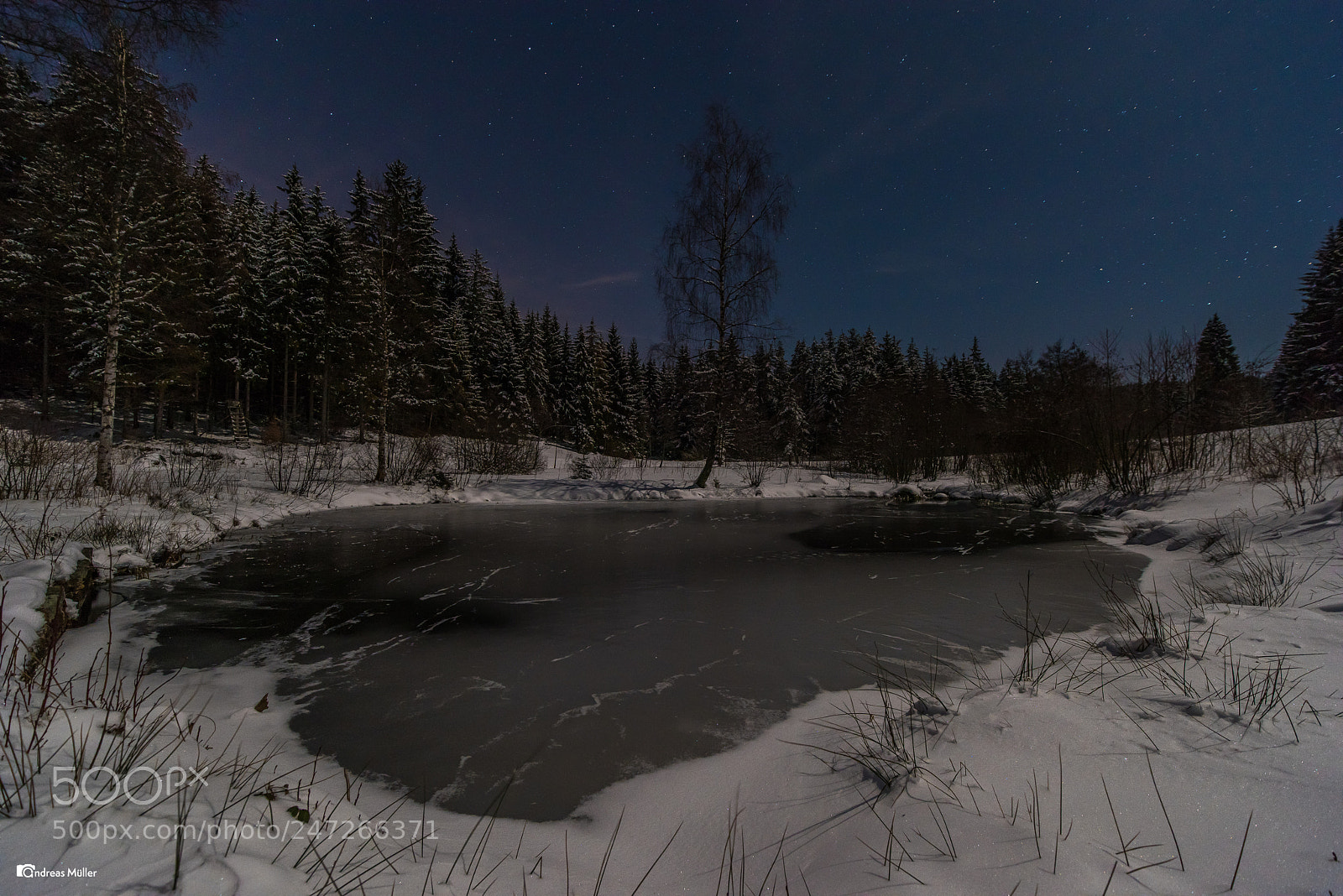Nikon D810 sample photo. Moonlight night photography