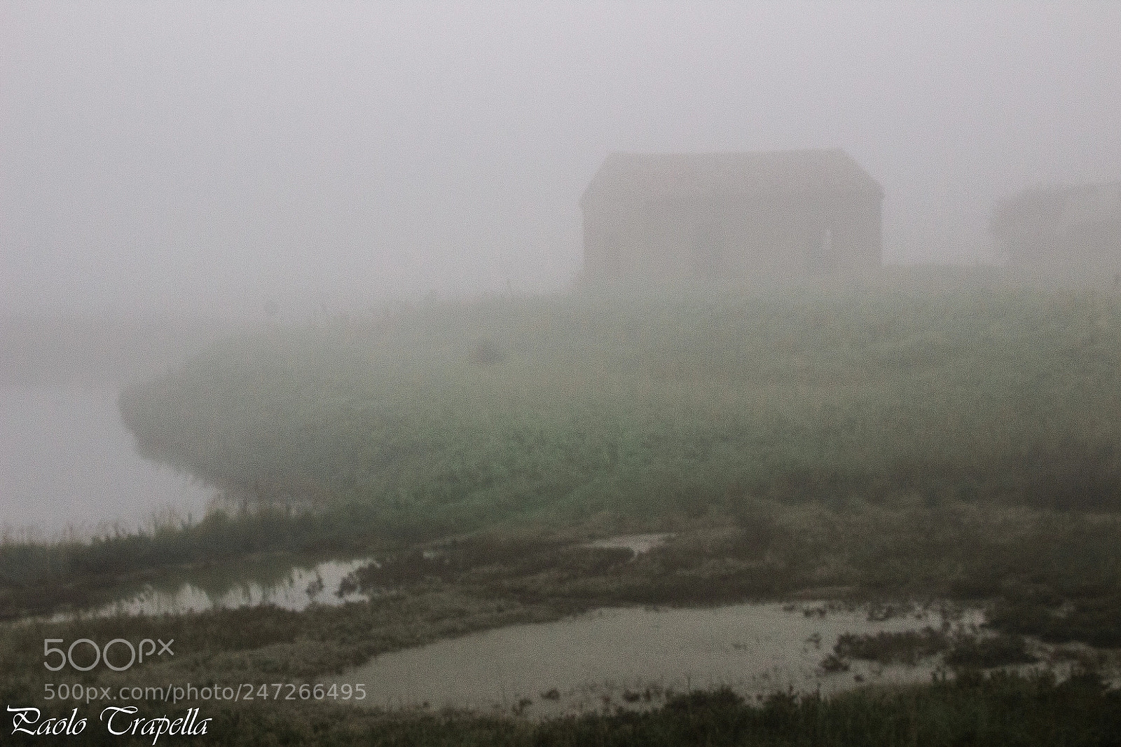 Canon EOS 600D (Rebel EOS T3i / EOS Kiss X5) sample photo. Nebbia a porto levante photography